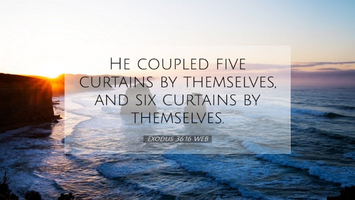 Picture 07 - Exodus 36:16 WEB Desktop Wallpaper - He coupled five curtains by themselves, and six - Desktop Bible Verse Wallpaper