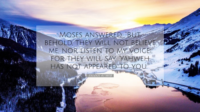 Picture 07 - Exodus 4:1 WEB Desktop Wallpaper - Moses answered, 