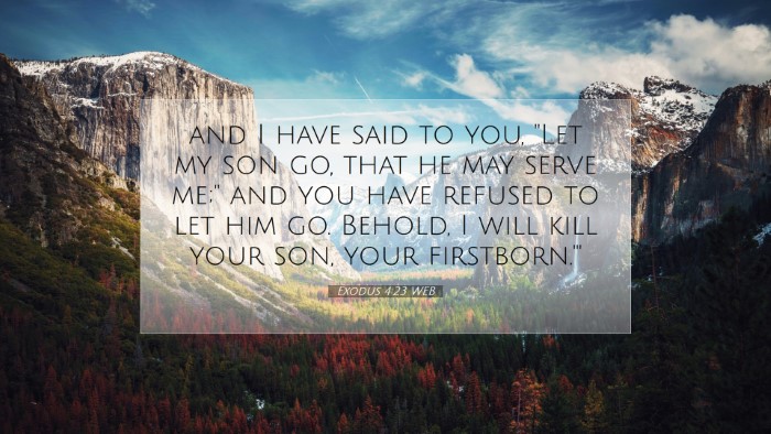 Picture 07 - Exodus 4:23 WEB Desktop Wallpaper - and I have said to you, 