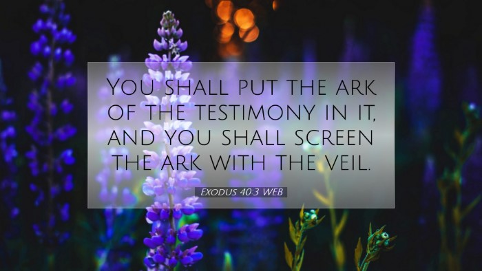 Picture 07 - Exodus 40:3 WEB Desktop Wallpaper - You shall put the ark of the testimony in it, and - Desktop Bible Verse Wallpaper