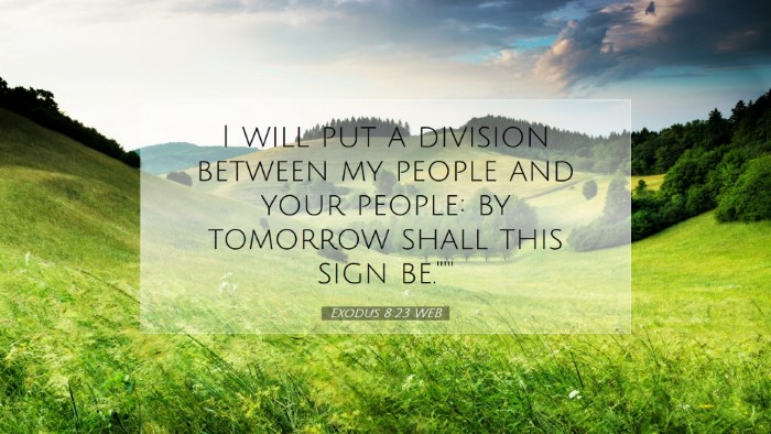 Picture 07 - Exodus 8:23 WEB Desktop Wallpaper - I will put a division between my people and your - Desktop Bible Verse Wallpaper