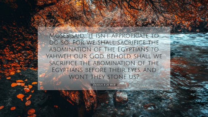 Picture 07 - Exodus 8:26 WEB Desktop Wallpaper - Moses said, 