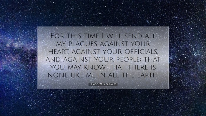 Picture 07 - Exodus 9:14 WEB Desktop Wallpaper - For this time I will send all my plagues against - Desktop Bible Verse Wallpaper