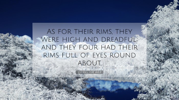 Picture 07 - Ezekiel 1:18 WEB Desktop Wallpaper - As for their rims, they were high and dreadful; - Desktop Bible Verse Wallpaper