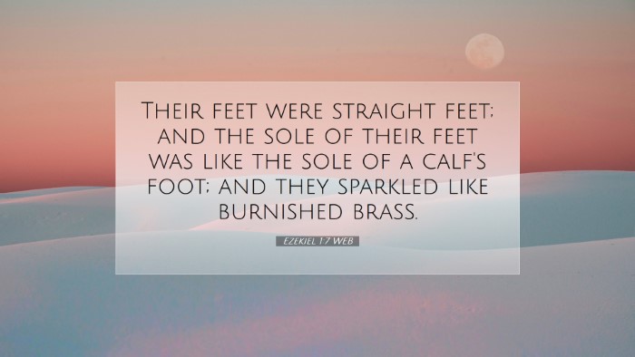 Picture 07 - Ezekiel 1:7 WEB Desktop Wallpaper - Their feet were straight feet; and the sole of - Desktop Bible Verse Wallpaper