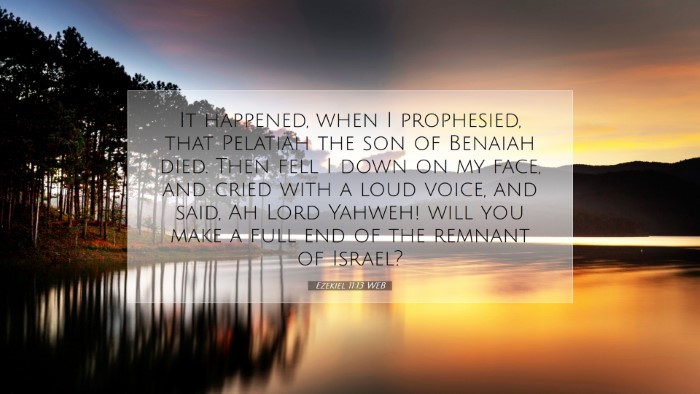 Picture 07 - Ezekiel 11:13 WEB Desktop Wallpaper - It happened, when I prophesied, that Pelatiah the - Desktop Bible Verse Wallpaper