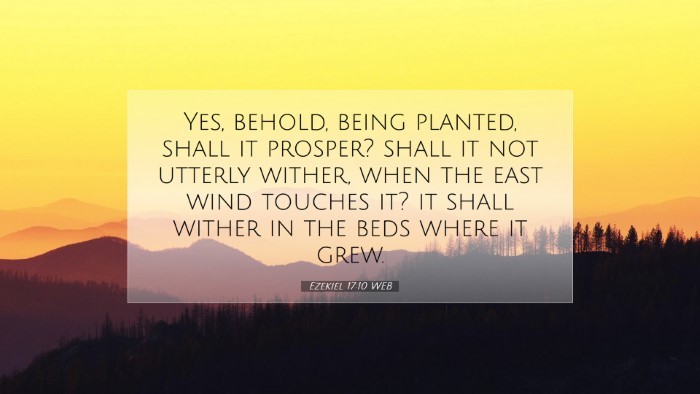 Picture 07 - Ezekiel 17:10 WEB Desktop Wallpaper - Yes, behold, being planted, shall it prosper? - Desktop Bible Verse Wallpaper