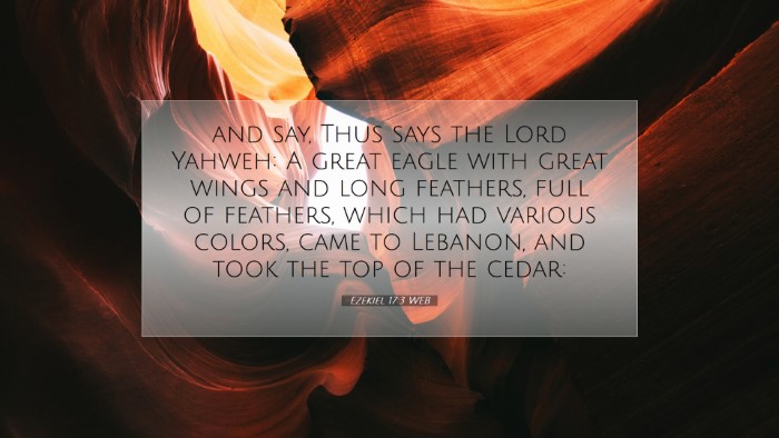 Picture 07 - Ezekiel 17:3 WEB Desktop Wallpaper - and say, Thus says the Lord Yahweh: A great eagle - Desktop Bible Verse Wallpaper