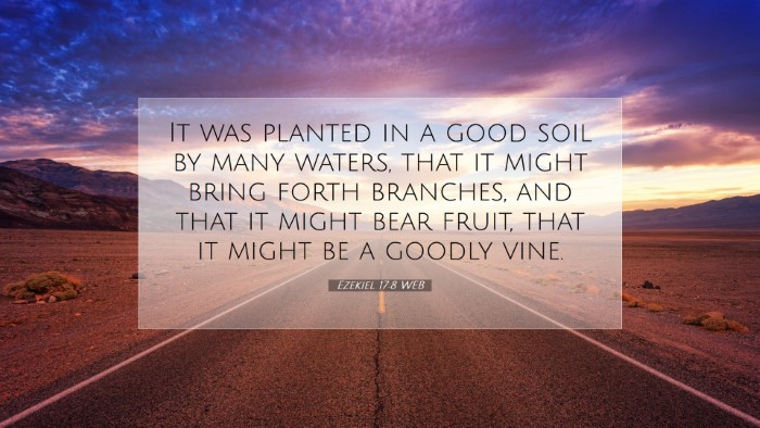 Picture 07 - Ezekiel 17:8 WEB Desktop Wallpaper - It was planted in a good soil by many waters, - Desktop Bible Verse Wallpaper