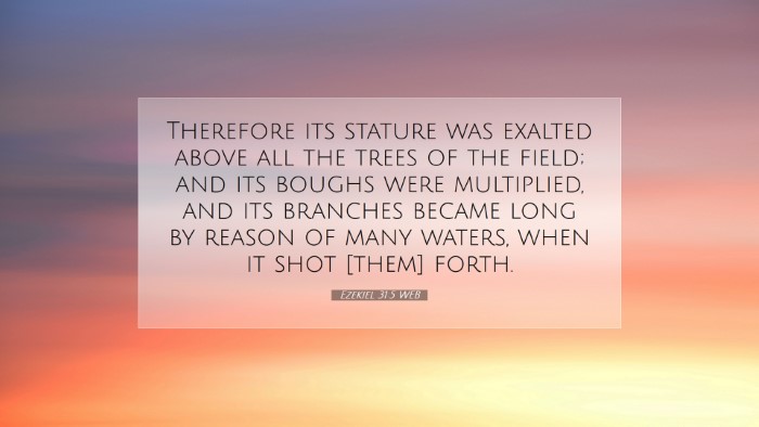 Picture 07 - Ezekiel 31:5 WEB Desktop Wallpaper - Therefore its stature was exalted above all the - Desktop Bible Verse Wallpaper