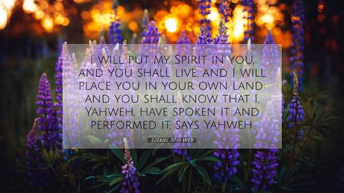 Picture 07 - Ezekiel 37:14 WEB Desktop Wallpaper - I will put my Spirit in you, and you shall live, - Desktop Bible Verse Wallpaper