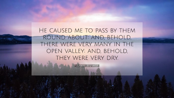 Picture 07 - Ezekiel 37:2 WEB Desktop Wallpaper - He caused me to pass by them round about: and, - Desktop Bible Verse Wallpaper