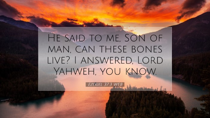 Picture 07 - Ezekiel 37:3 WEB Desktop Wallpaper - He said to me, Son of man, can these bones live? - Desktop Bible Verse Wallpaper