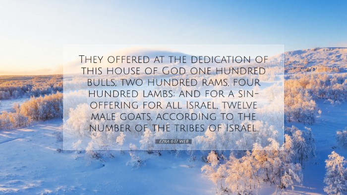 Picture 07 - Ezra 6:17 WEB Desktop Wallpaper - They offered at the dedication of this house of - Desktop Bible Verse Wallpaper