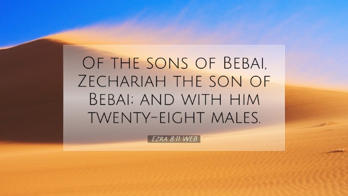 Picture 07 - Ezra 8:11 WEB Desktop Wallpaper - Of the sons of Bebai, Zechariah the son of Bebai; - Desktop Bible Verse Wallpaper