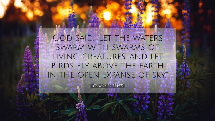 Picture 07 - Genesis 1:20 WEB Desktop Wallpaper - God said, 
