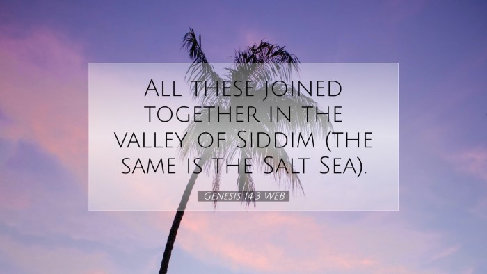 Picture 07 - Genesis 14:3 WEB Desktop Wallpaper - All these joined together in the valley of Siddim - Desktop Bible Verse Wallpaper