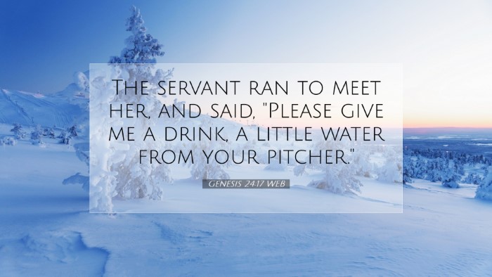 Picture 07 - Genesis 24:17 WEB Desktop Wallpaper - The servant ran to meet her, and said, 