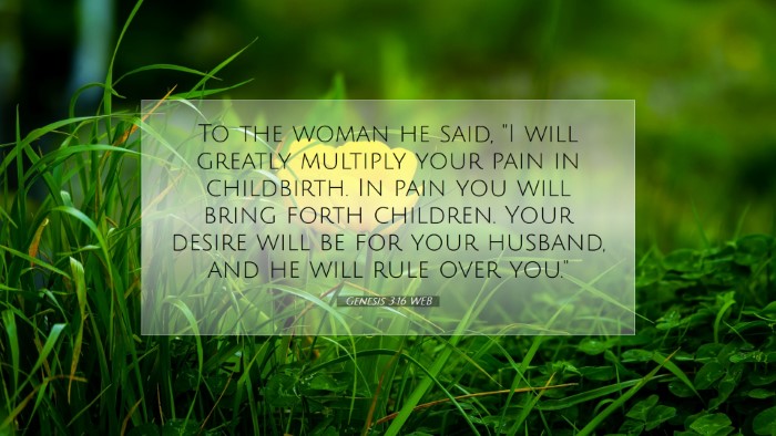 Picture 07 - Genesis 3:16 WEB Desktop Wallpaper - To the woman he said, 