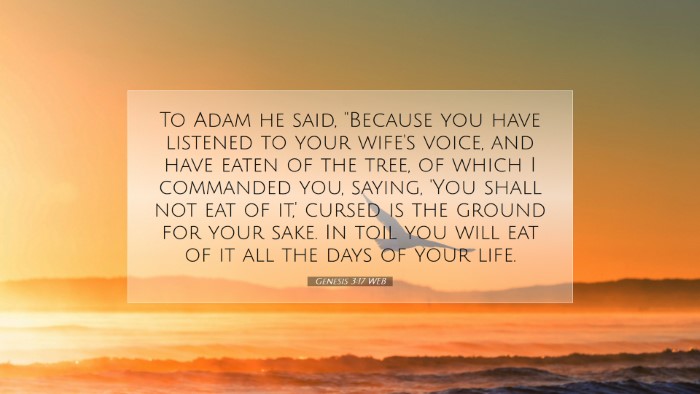 Picture 07 - Genesis 3:17 WEB Desktop Wallpaper - To Adam he said, 