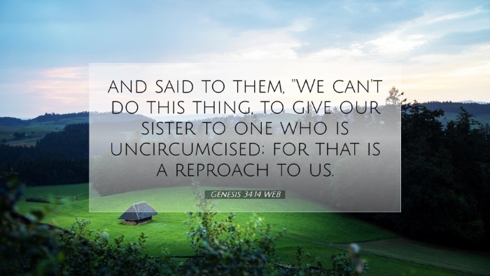 Picture 07 - Genesis 34:14 WEB Desktop Wallpaper - and said to them, 
