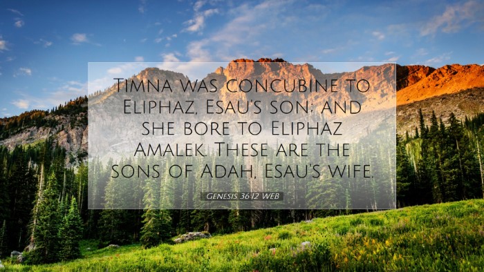 Picture 07 - Genesis 36:12 WEB Desktop Wallpaper - Timna was concubine to Eliphaz, Esau's son; and - Desktop Bible Verse Wallpaper