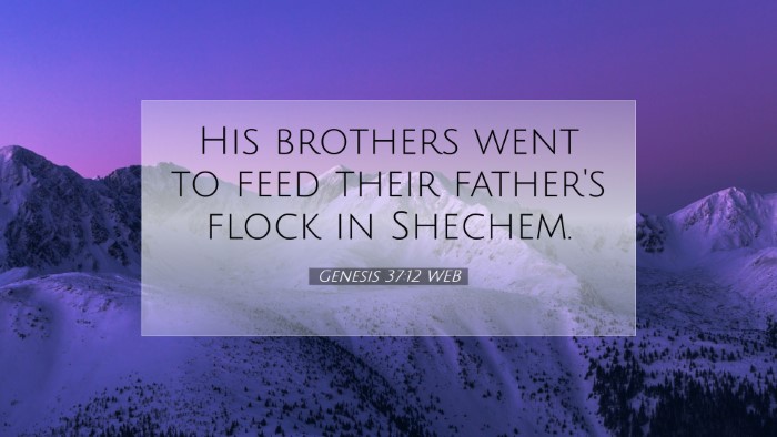 Picture 07 - Genesis 37:12 WEB Desktop Wallpaper - His brothers went to feed their father's flock in - Desktop Bible Verse Wallpaper