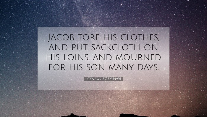 Picture 07 - Genesis 37:34 WEB Desktop Wallpaper - Jacob tore his clothes, and put sackcloth on his - Desktop Bible Verse Wallpaper