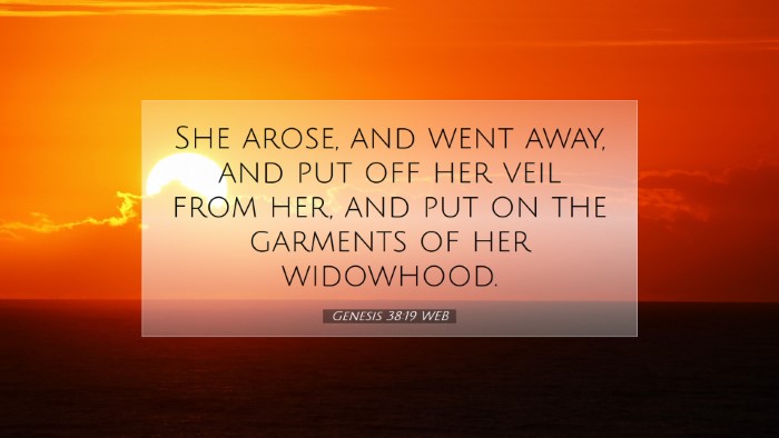 Picture 07 - Genesis 38:19 WEB Desktop Wallpaper - She arose, and went away, and put off her veil - Desktop Bible Verse Wallpaper