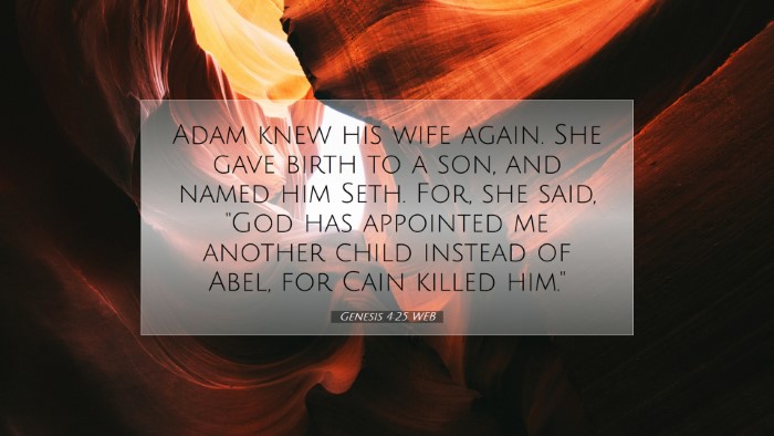 Picture 07 - Genesis 4:25 WEB Desktop Wallpaper - Adam knew his wife again. She gave birth to a - Desktop Bible Verse Wallpaper