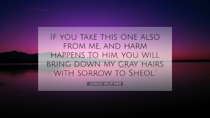 Picture 07 - Genesis 44:29 WEB Desktop Wallpaper - If you take this one also from me, and harm - Desktop Bible Verse Wallpaper