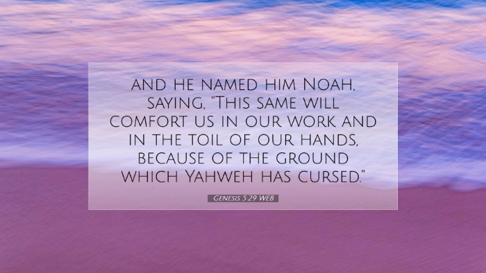 Picture 07 - Genesis 5:29 WEB Desktop Wallpaper - and he named him Noah, saying, 
