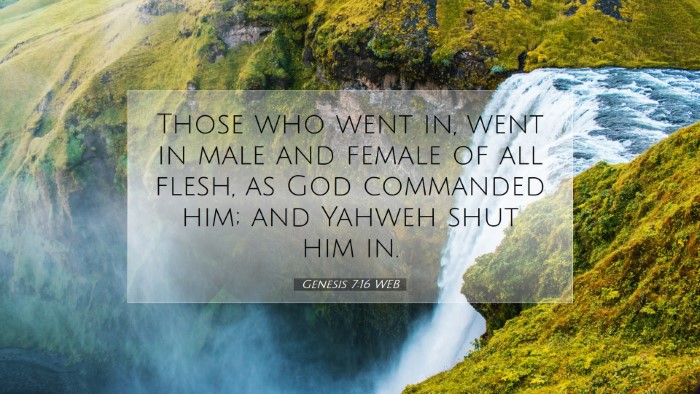 Picture 07 - Genesis 7:16 WEB Desktop Wallpaper - Those who went in, went in male and female of all - Desktop Bible Verse Wallpaper