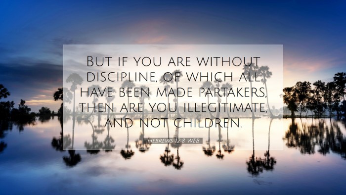 Picture 07 - Hebrews 12:8 WEB Desktop Wallpaper - But if you are without discipline, of which all - Desktop Bible Verse Wallpaper