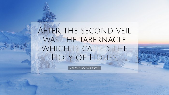 Picture 07 - Hebrews 9:3 WEB Desktop Wallpaper - After the second veil was the tabernacle which is - Desktop Bible Verse Wallpaper