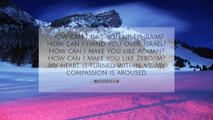 Picture 07 - Hosea 11:8 WEB Desktop Wallpaper - 
