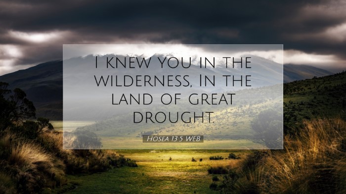 Picture 07 - Hosea 13:5 WEB Desktop Wallpaper - I knew you in the wilderness, In the land of - Desktop Bible Verse Wallpaper