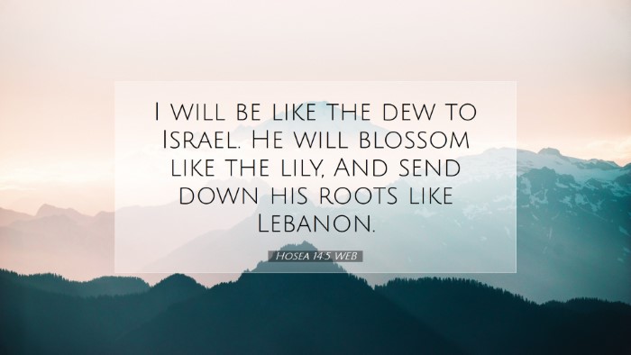 Picture 07 - Hosea 14:5 WEB Desktop Wallpaper - I will be like the dew to Israel. He will blossom - Desktop Bible Verse Wallpaper