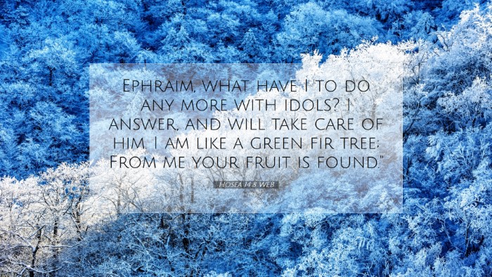 Picture 07 - Hosea 14:8 WEB Desktop Wallpaper - Ephraim, what have I to do any more with idols? I - Desktop Bible Verse Wallpaper