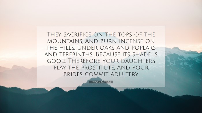 Picture 07 - Hosea 4:13 WEB Desktop Wallpaper - They sacrifice on the tops of the mountains, And - Desktop Bible Verse Wallpaper