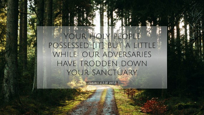 Picture 07 - Isaiah 63:18 WEB Desktop Wallpaper - Your holy people possessed [it] but a little - Desktop Bible Verse Wallpaper