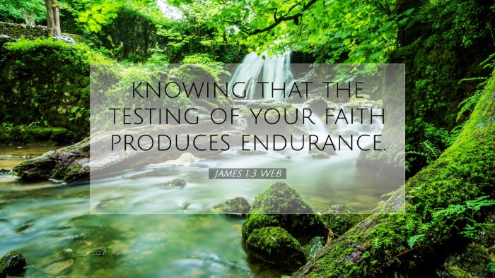 Picture 07 - James 1:3 WEB Desktop Wallpaper - knowing that the testing of your faith produces - Desktop Bible Verse Wallpaper