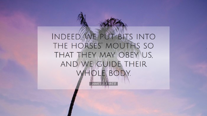 Picture 07 - James 3:3 WEB Desktop Wallpaper - Indeed, we put bits into the horses' mouths so - Desktop Bible Verse Wallpaper
