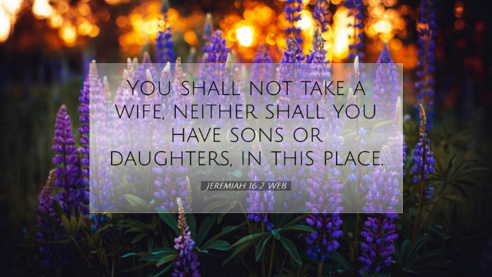 Picture 07 - Jeremiah 16:2 WEB Desktop Wallpaper - You shall not take a wife, neither shall you have - Desktop Bible Verse Wallpaper