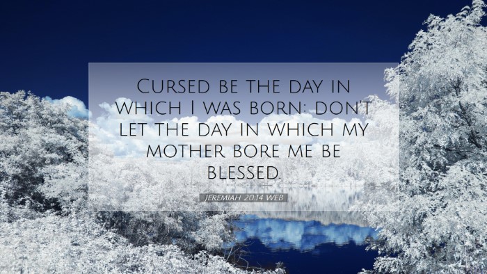 Picture 07 - Jeremiah 20:14 WEB Desktop Wallpaper - Cursed be the day in which I was born: don't let - Desktop Bible Verse Wallpaper