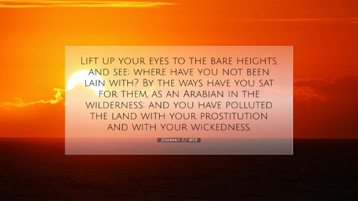 Picture 07 - Jeremiah 3:2 WEB Desktop Wallpaper - Lift up your eyes to the bare heights, and see; - Desktop Bible Verse Wallpaper