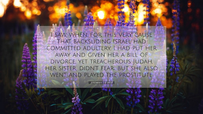 Picture 07 - Jeremiah 3:8 WEB Desktop Wallpaper - I saw, when, for this very cause that backsliding - Desktop Bible Verse Wallpaper