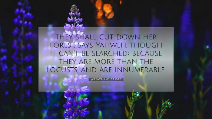 Picture 07 - Jeremiah 46:23 WEB Desktop Wallpaper - They shall cut down her forest, says Yahweh, - Desktop Bible Verse Wallpaper