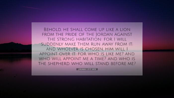 Picture 07 - Jeremiah 49:19 WEB Desktop Wallpaper - Behold, he shall come up like a lion from the - Desktop Bible Verse Wallpaper