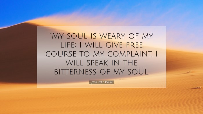 Picture 07 - Job 10:1 WEB Desktop Wallpaper - 